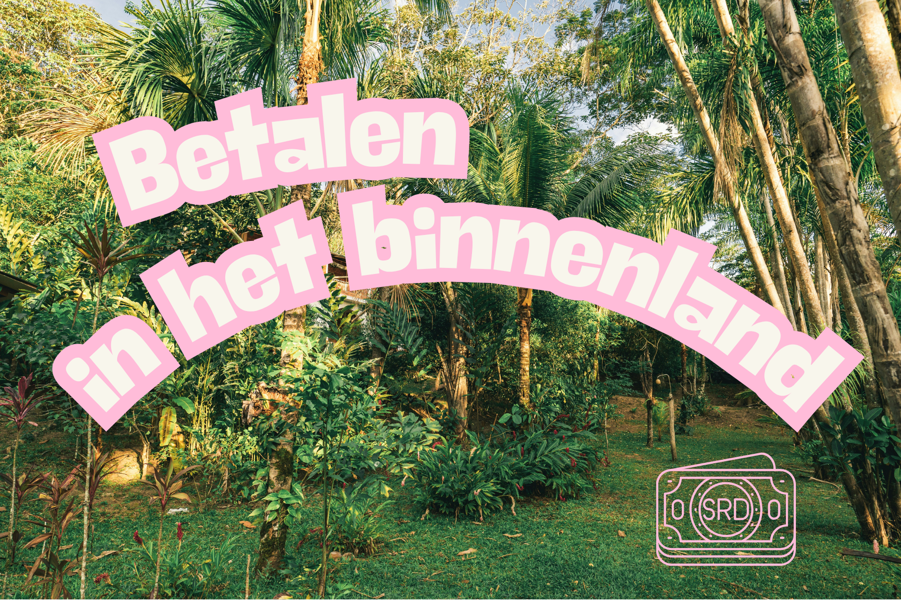 Betalen binnenland Suriname
