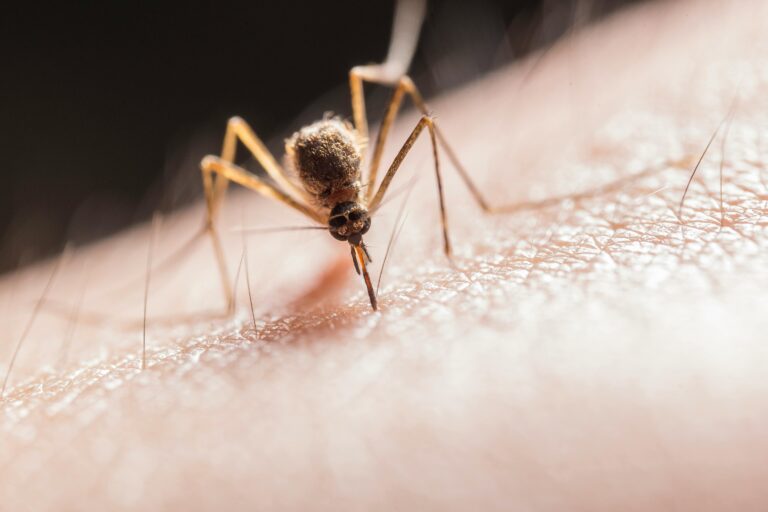 Malaria Suriname